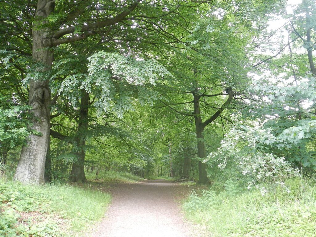 Goedstof: Wandeling in Weert