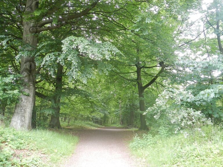 Goedstof: Wandeling — natuur in Weert